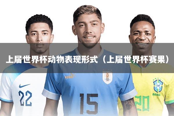 上届世界杯动物表现形式（上届世界杯赛果）